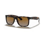 Havana/Solid Color (special order)