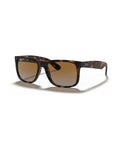 Justin Sunglasses - Havana/Solid Color - Ray-Ban