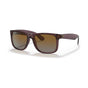 Transparent Dark Brown/Brown Gradient Polarised (special order)
