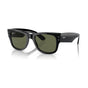 Black/Green Polarized (special order)