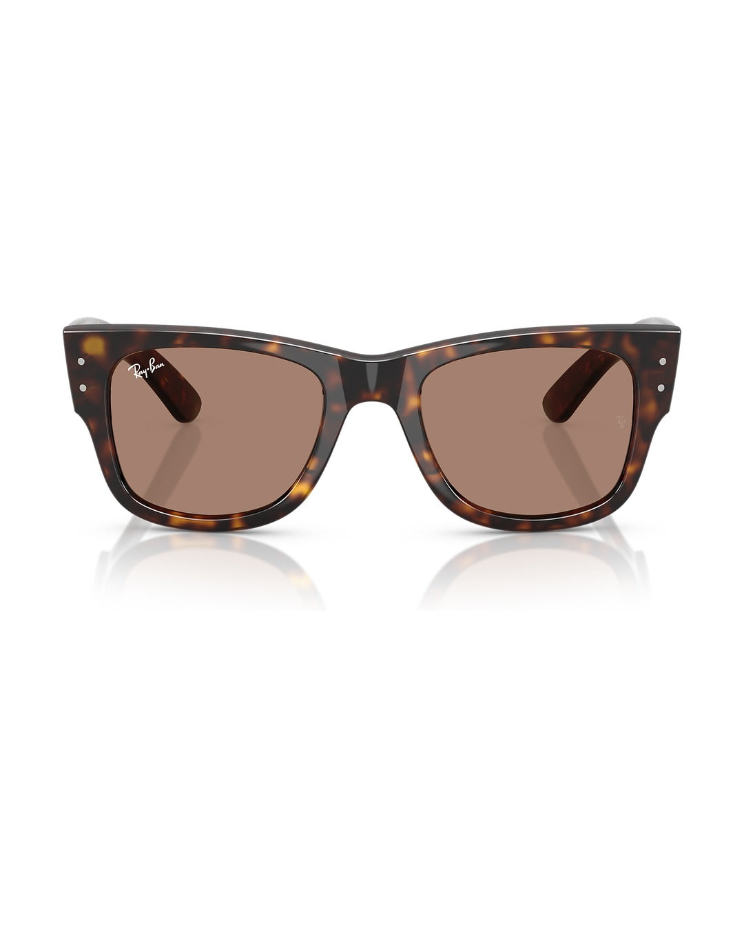 Mega Wayfarer Sunglasses - Havana/Light Violet - Ray-Ban