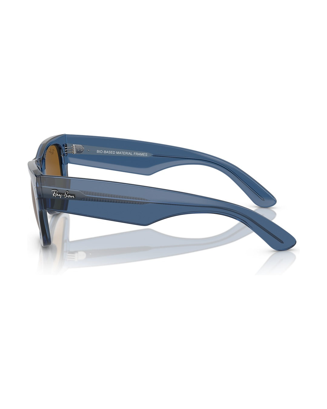 Mega Wayfarer Sunglasses - Transparent Blue/Brown - Ray-Ban