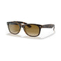 Light Havana/Light Brown Gradient (special order)