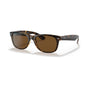 Tortoise/Brown Polarized (special order)