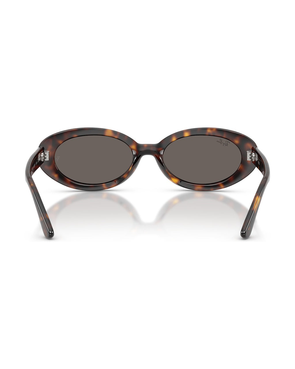 RB2223 Sunglasses - Havana/Dark Grey - Ray-Ban