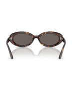 RB2223 Sunglasses - Havana/Dark Grey - Ray-Ban