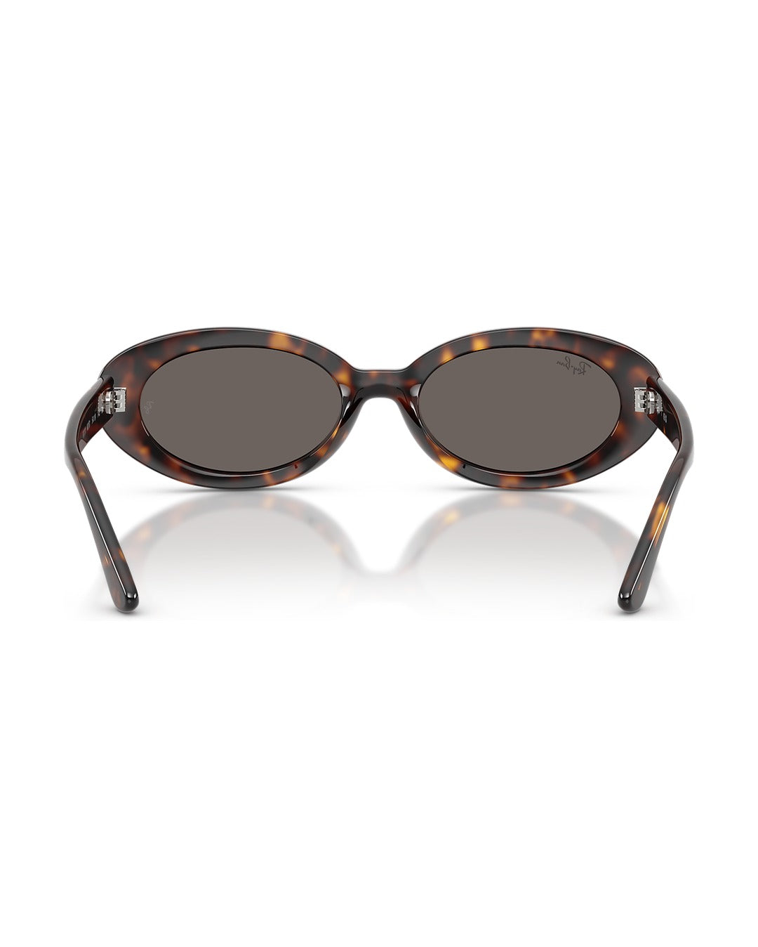 RB2223 Sunglasses - Havana/Dark Grey - Ray-Ban