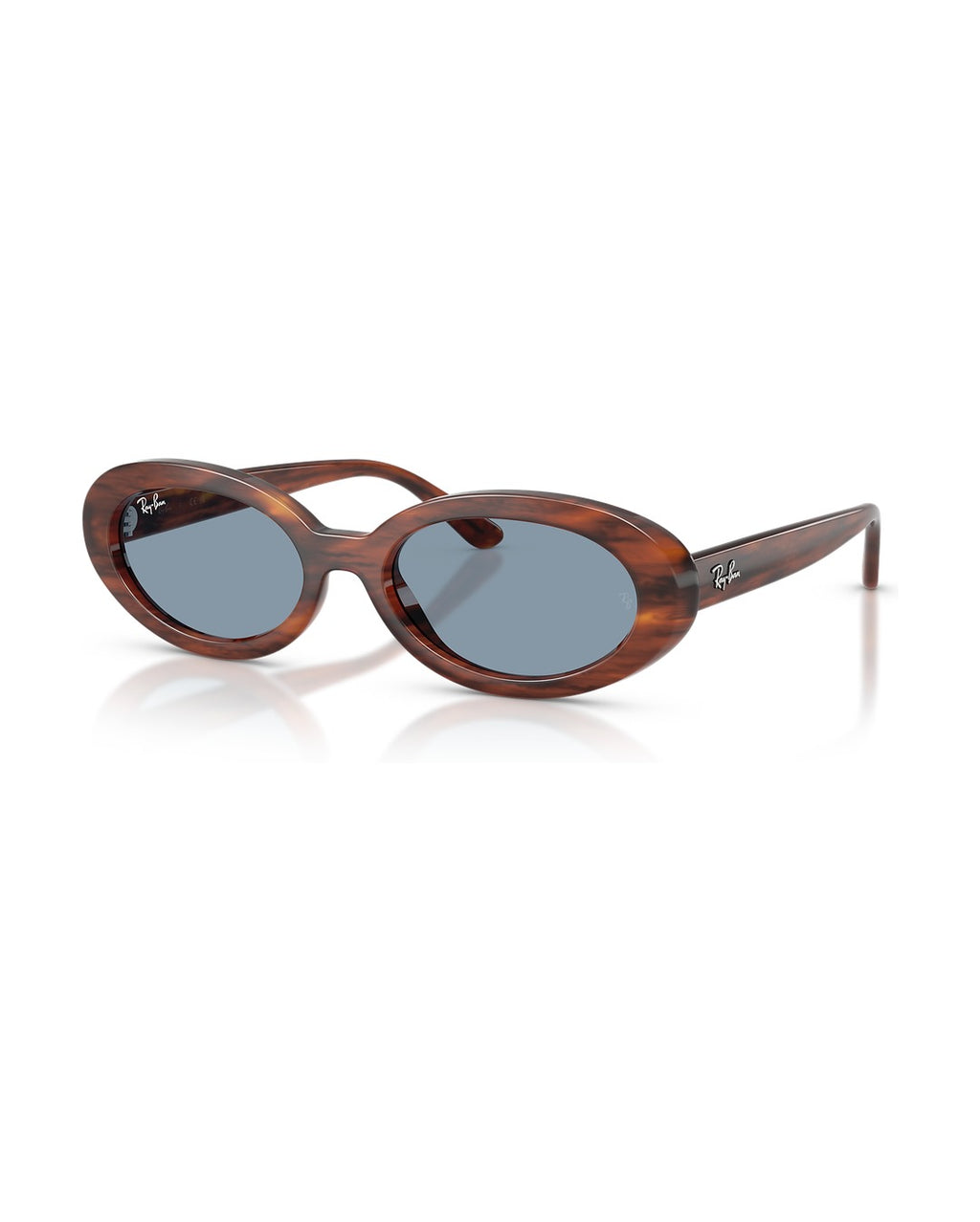 RB2223 Sunglasses - Striped Havana/Blue - Ray-Ban