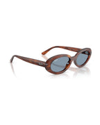 RB2223 Sunglasses - Striped Havana/Blue - Ray-Ban