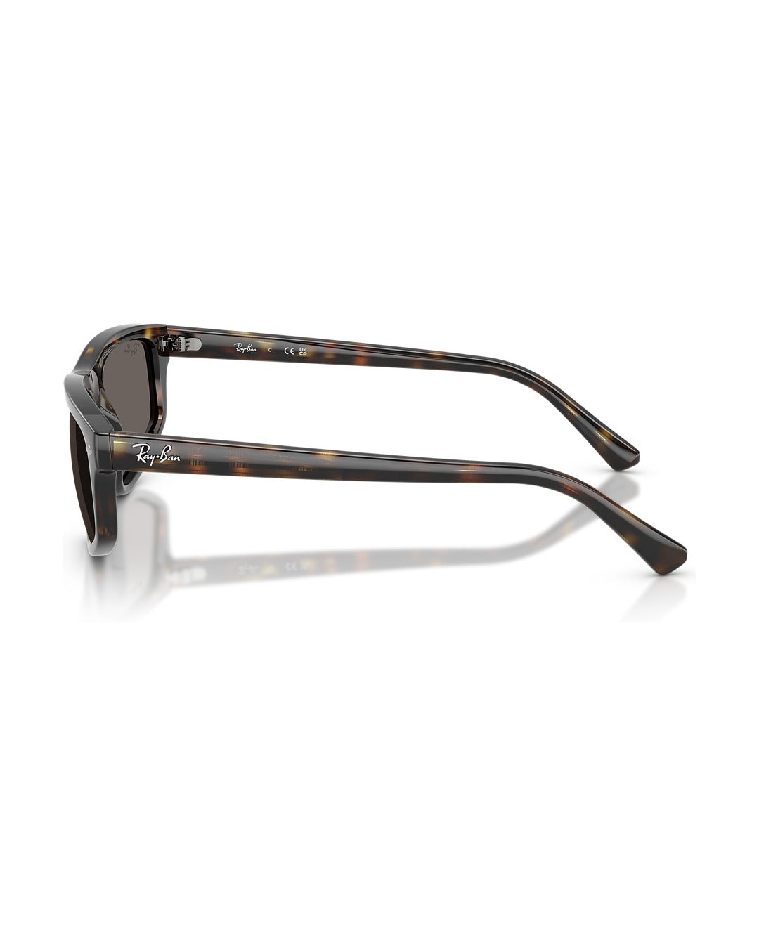 RB2225 Sunglasses - Havana/Dark Grey - Ray-Ban