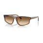 Transparent Light Brown/Clear Gradient Brown (special order)