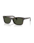 RB2226 Sunglasses - Havana/Green - Ray-Ban