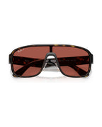 RB2229 Sunglasses - Havana/Red Urban Redwood Polarized S - Ray-Ban