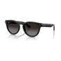 Black/Polarized Light Grey Gradient Grey (special order)