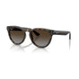 Havana/Polarized Light Grey Gradient Brown (special order)