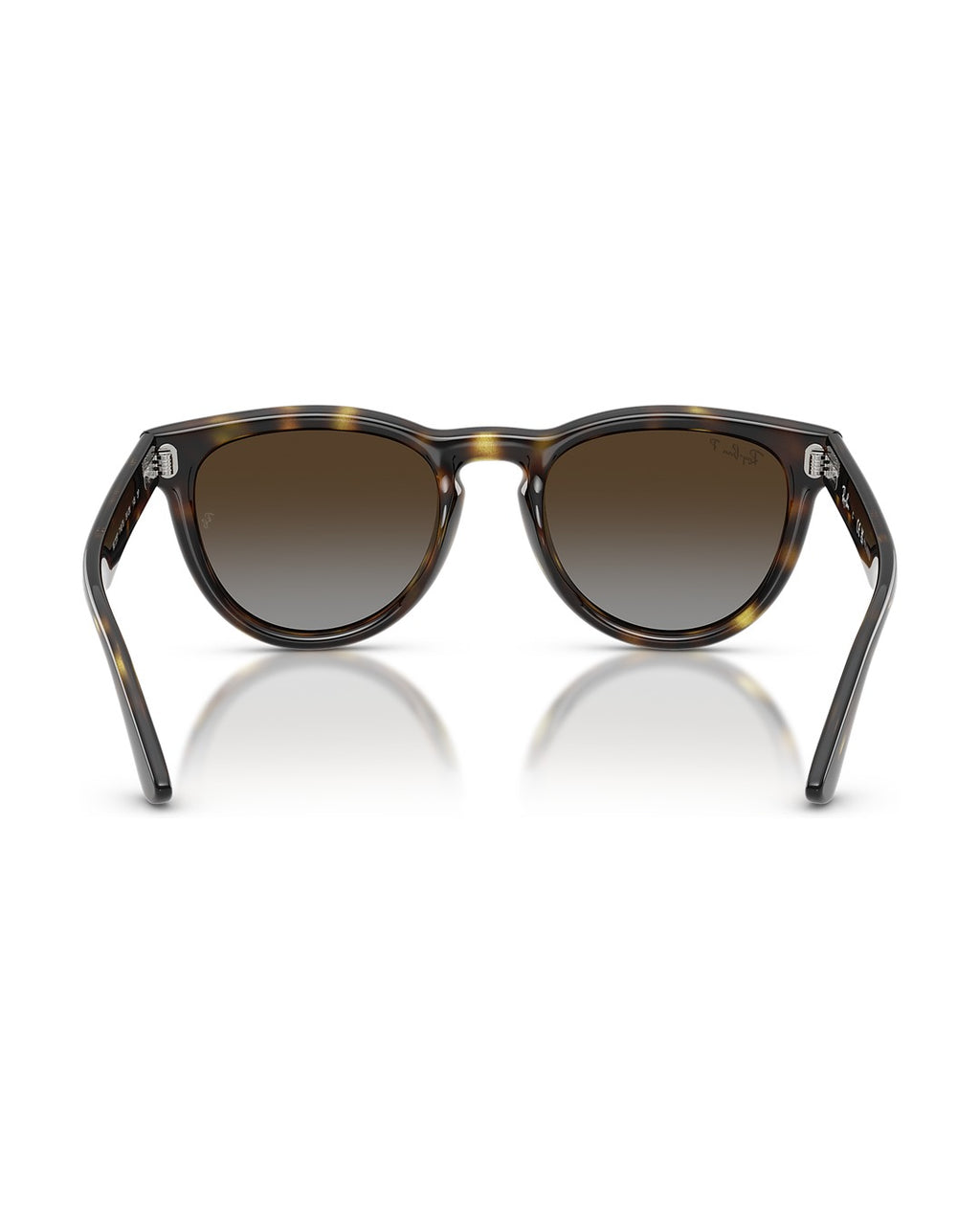 RB2237 Sunglasses - Havana/Polarized Light Grey Gradient Brown - Ray-Ban