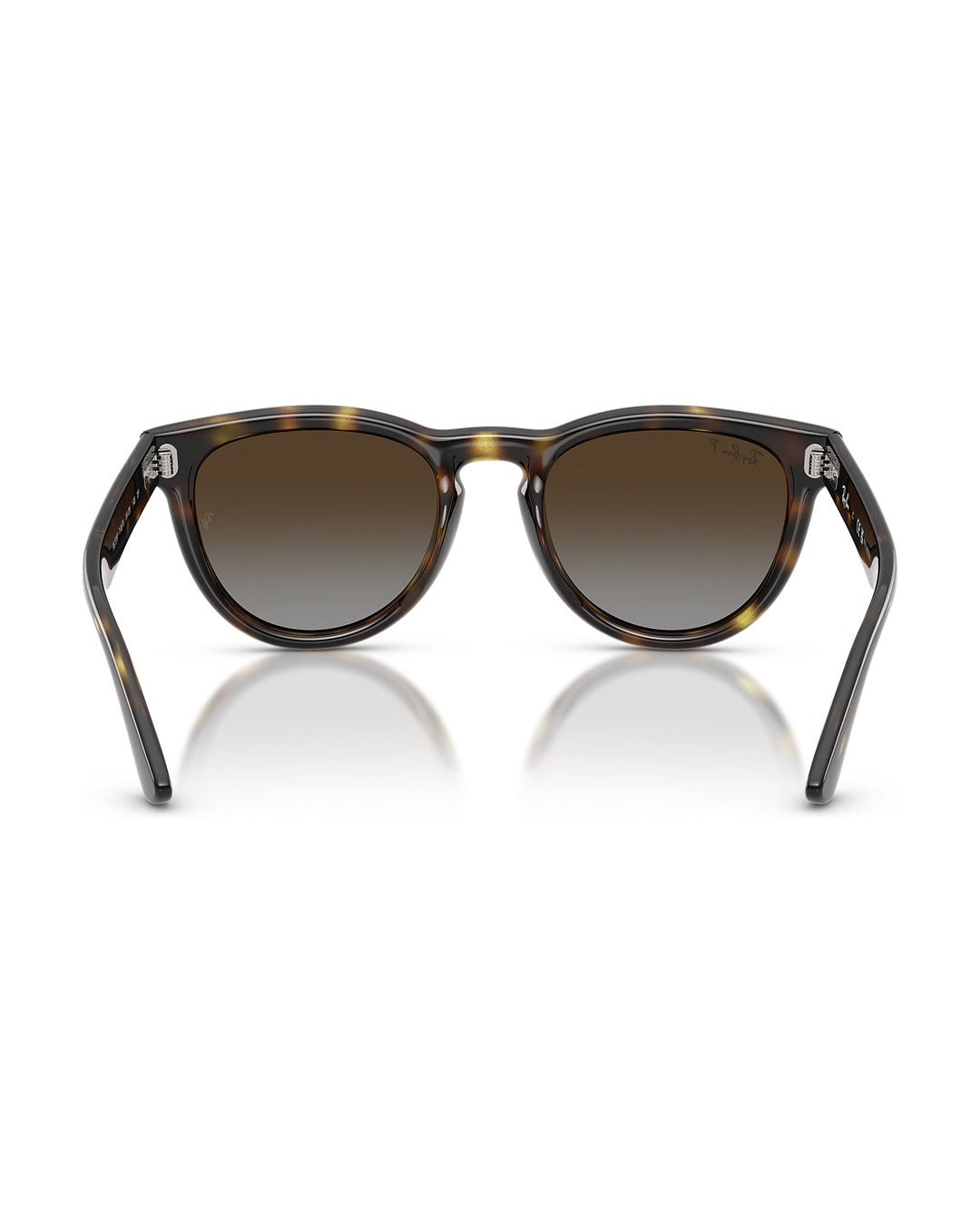 RB2237 Sunglasses - Havana/Polarized Light Grey Gradient Brown - Ray-Ban