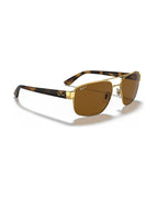 RB3663 Sunglasses - Arista Gold/Brown Polarized - Ray-Ban