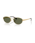 RB3774D Sunglasses - Arista Gold/Dark Green Polarized - Ray-Ban