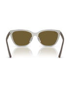 RB3798D Sunglasses - Silver/Dark Brown - Ray-Ban