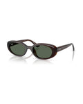 RB4441D Sunglasses - Transparent Brown/Dark Green - Ray-Ban