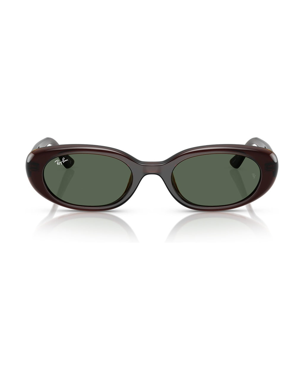 RB4441D Sunglasses - Transparent Brown/Dark Green - Ray-Ban