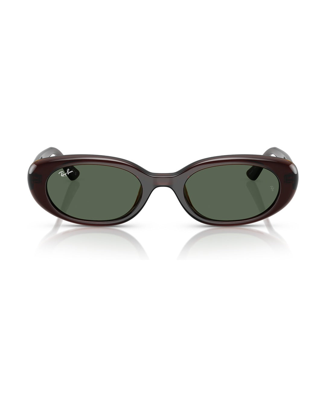 RB4441D Sunglasses - Transparent Brown/Dark Green - Ray-Ban