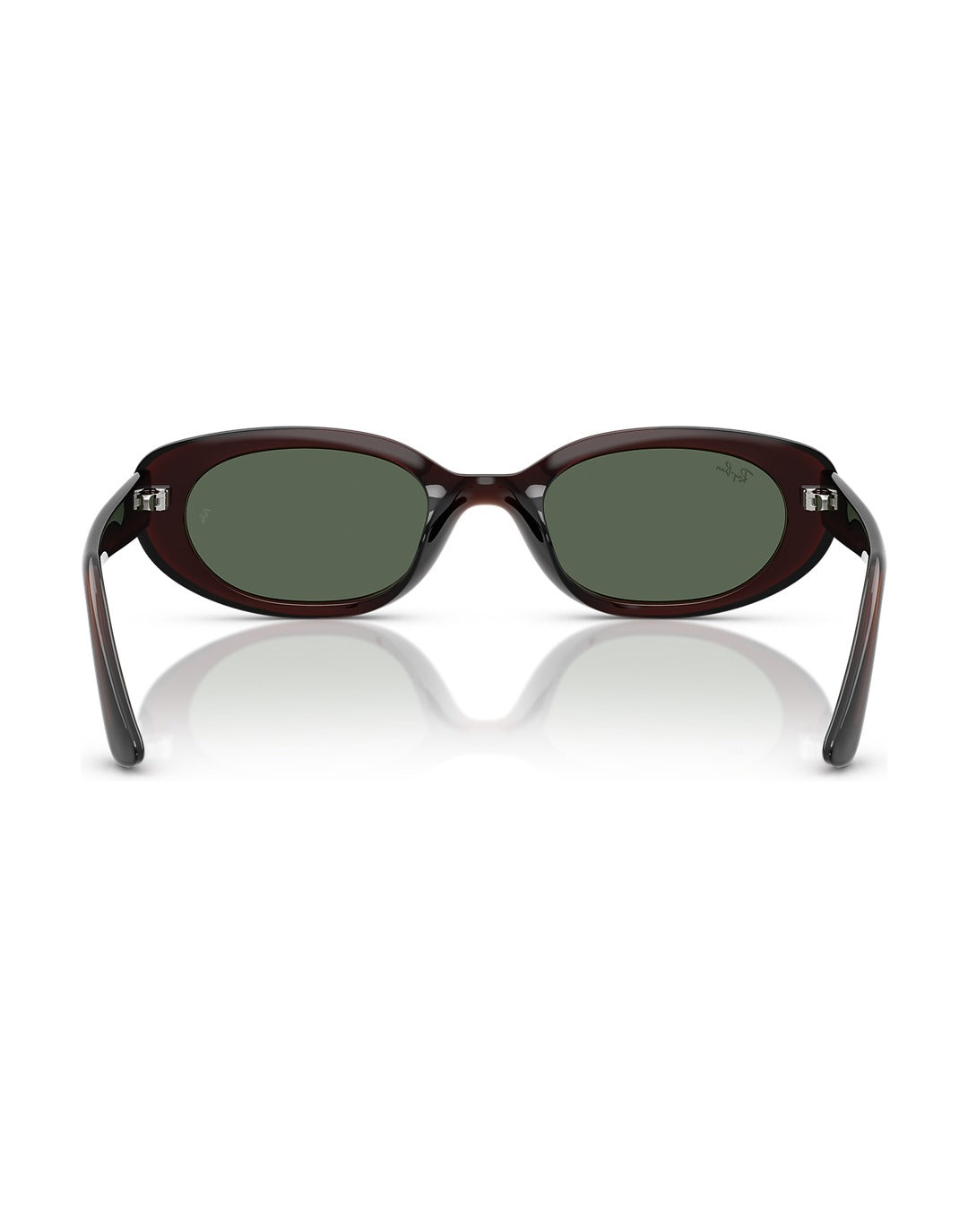 RB4441D Sunglasses - Transparent Brown/Dark Green - Ray-Ban