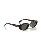 RB4441D Sunglasses - Transparent Brown/Dark Green - Ray-Ban