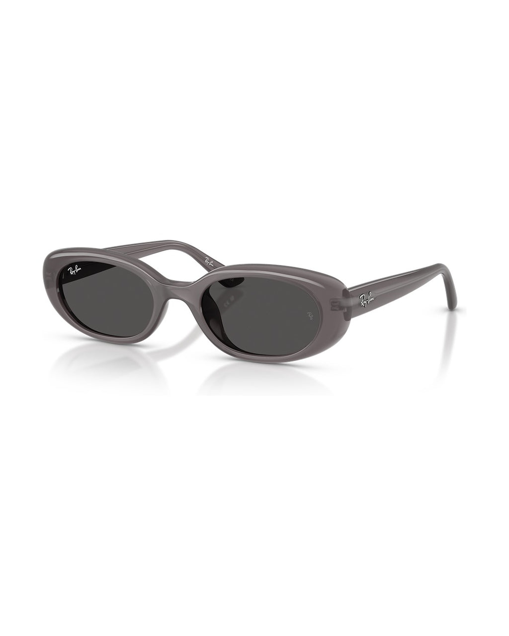RB4441D Sunglasses - Transparent Dark Grey/Dark Grey - Ray-Ban