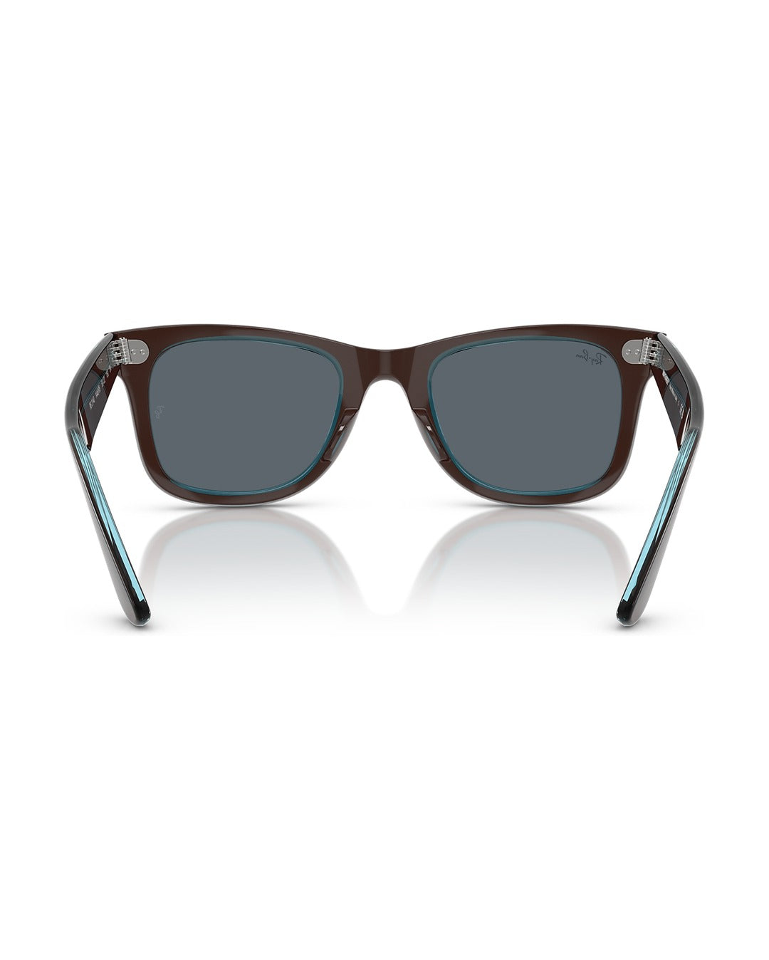 Wayfarer Classic Sunglasses - Brown On Transparent Blue/Blue - Ray-Ban