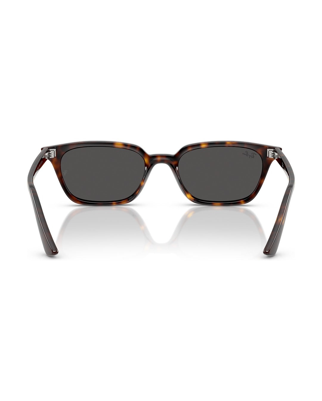 Zaya Sunglasses - Havana/Dark Grey - Ray-Ban
