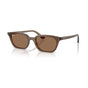 Transparent Brown/Dark Brown (special order)