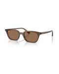 Zaya Sunglasses - Transparent Brown/Dark Brown - Ray-Ban