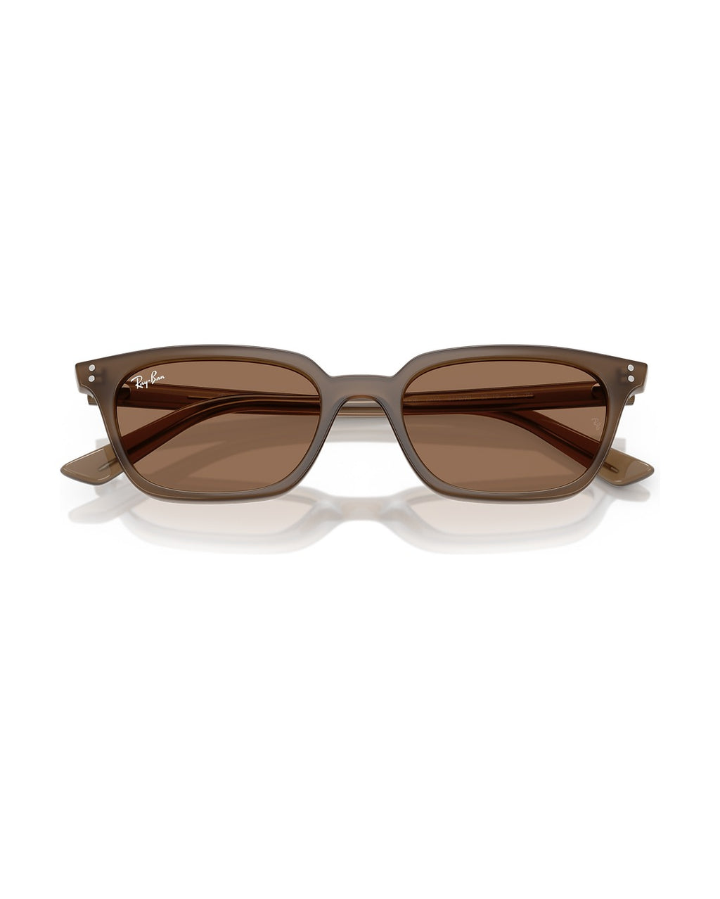 Zaya Sunglasses - Transparent Brown/Dark Brown - Ray-Ban