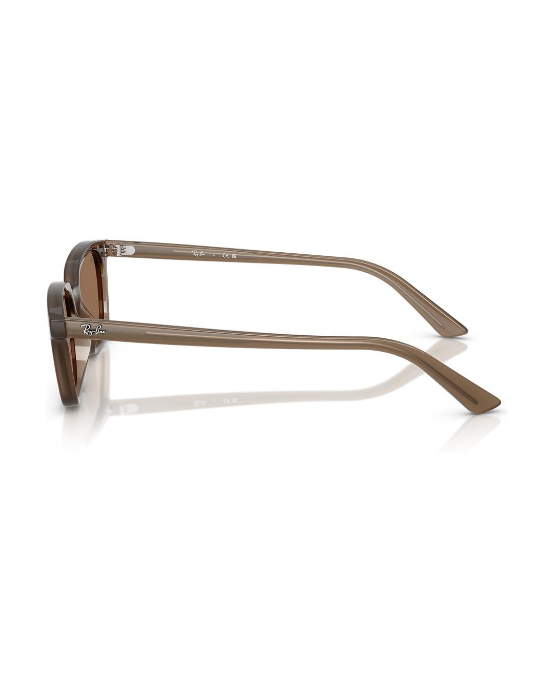 Zaya Sunglasses - Transparent Brown/Dark Brown - Ray-Ban
