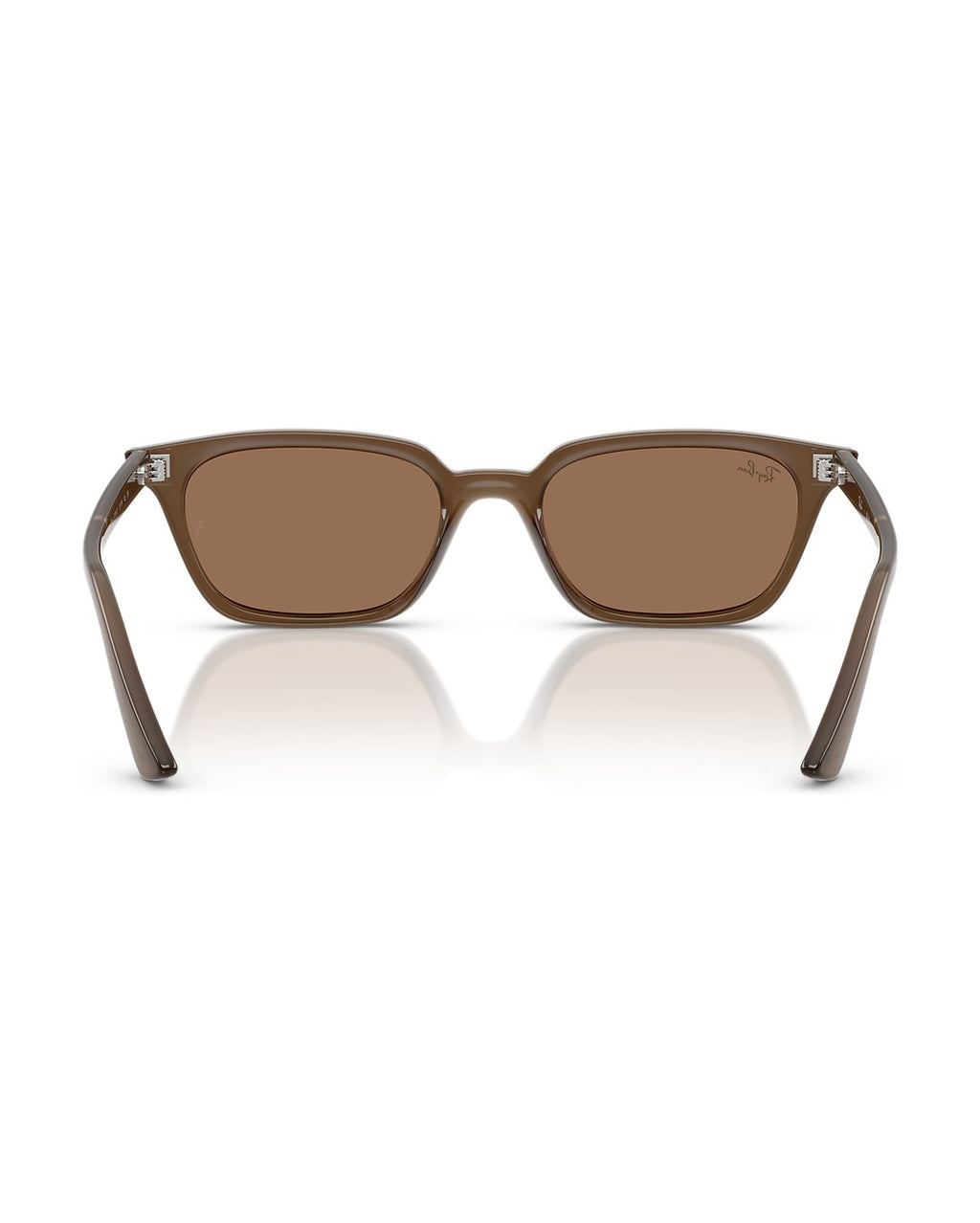 Zaya Sunglasses - Transparent Brown/Dark Brown - Ray-Ban