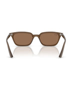 Zaya Sunglasses - Transparent Brown/Dark Brown - Ray-Ban