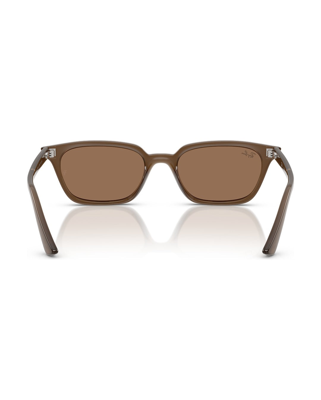 Zaya Sunglasses - Transparent Brown/Dark Brown - Ray-Ban
