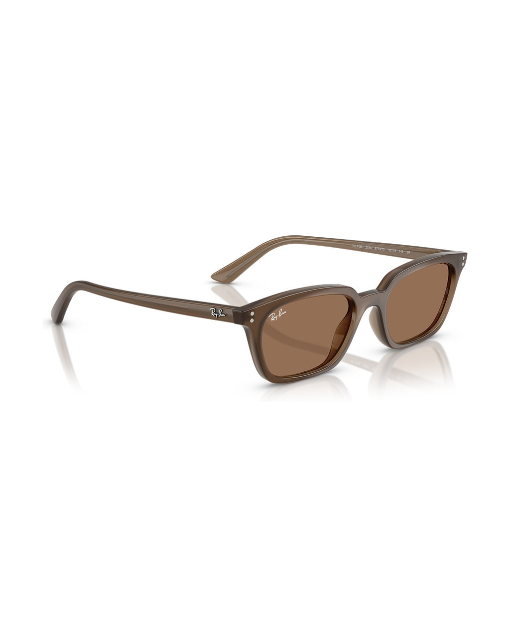 Zaya Sunglasses - Transparent Brown/Dark Brown - Ray-Ban