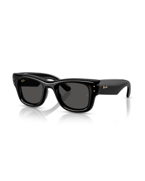 Wayfarer Puffer Sunglasses - Black/Ultra Black - Ray-Ban