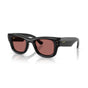Black/Dark Violet