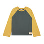 Charcoal/Mustard