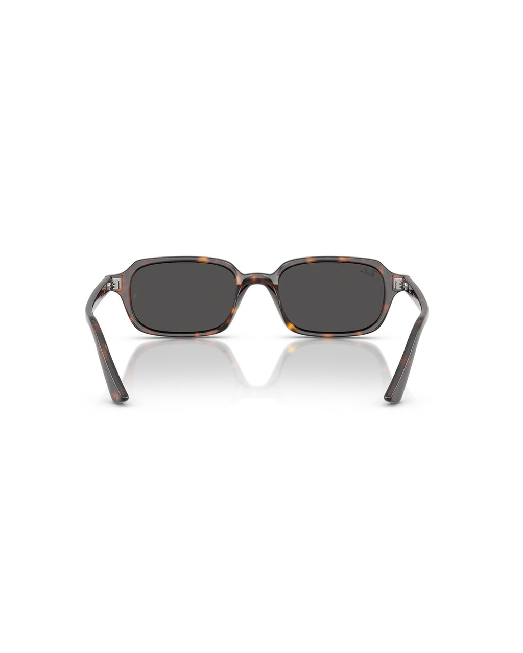 Zuri Sunglasses - Havana/Dark Grey - Ray-Ban