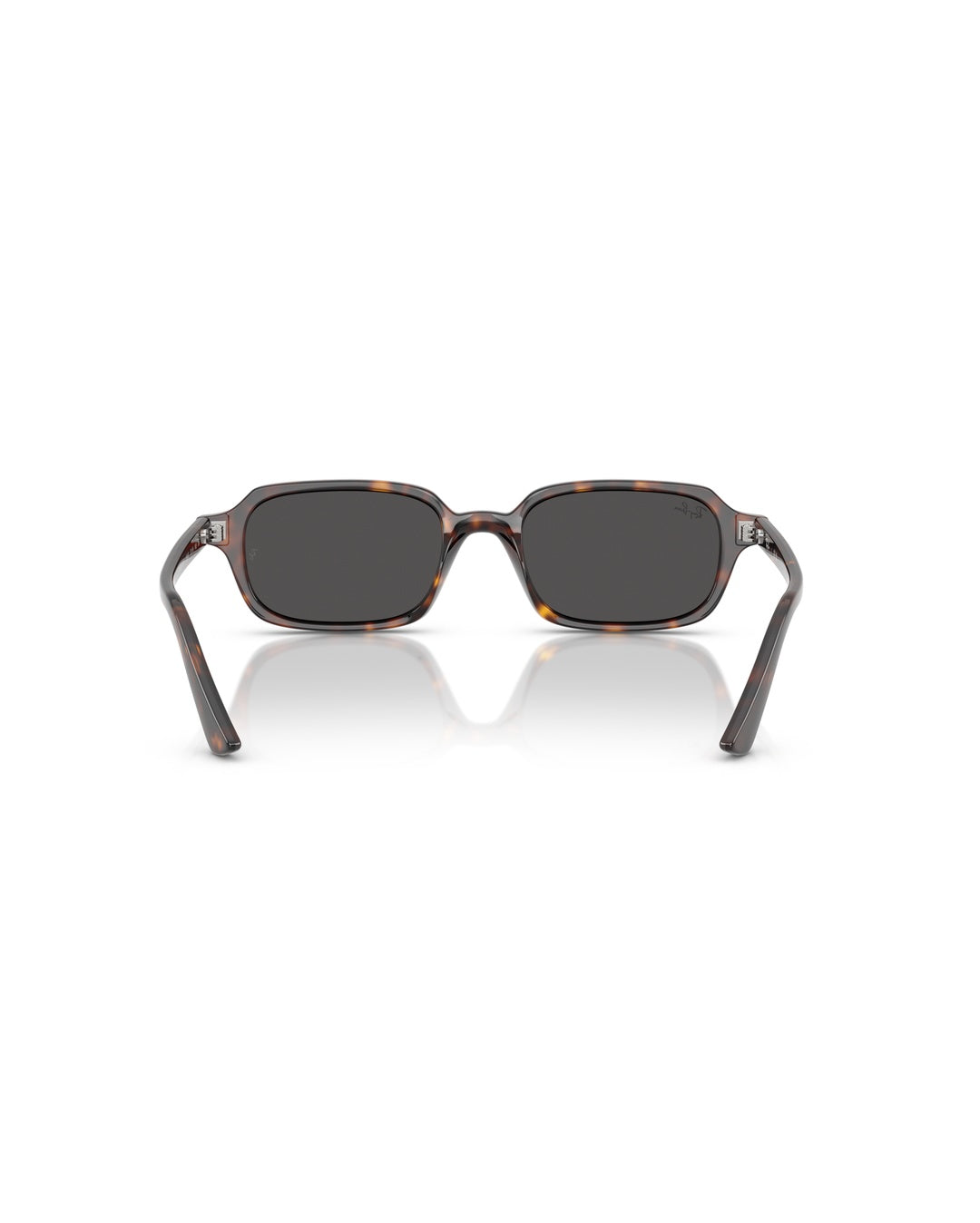 Zuri Sunglasses - Havana/Dark Grey - Ray-Ban